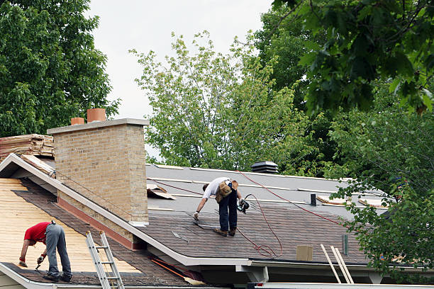 Roof Waterproofing Services in Bloomingdale, IL