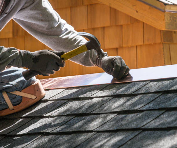 Best Roof Gutter Cleaning  in Bloomingdale, IL